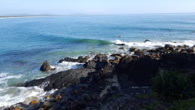 scotts head 1.jpg