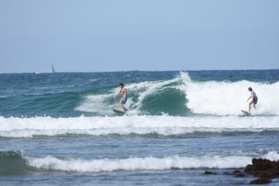 DSC_5321.JPG
