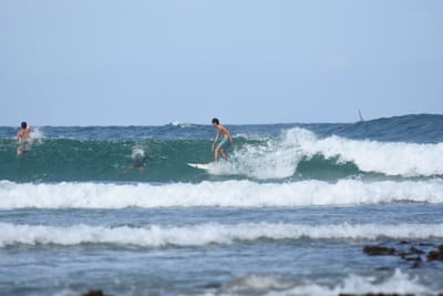 DSC_5325.JPG