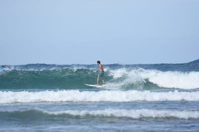 DSC_5327.JPG