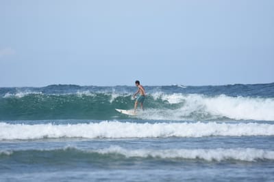 DSC_5328.JPG
