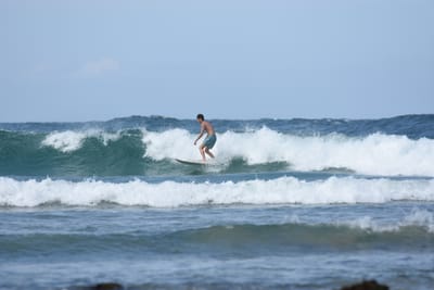 DSC_5330.JPG