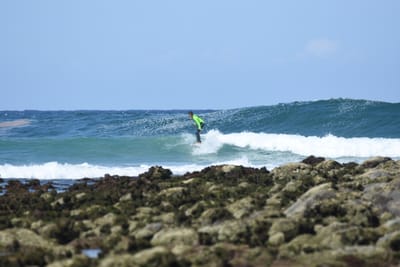 DSC_5356.JPG