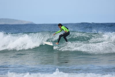 DSC_5528.JPG