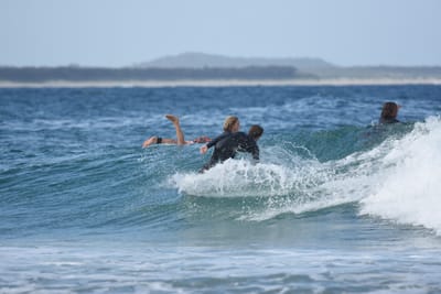 DSC_5536.JPG