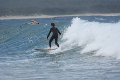 DSC_5578.JPG