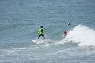 DSC_5624.JPG