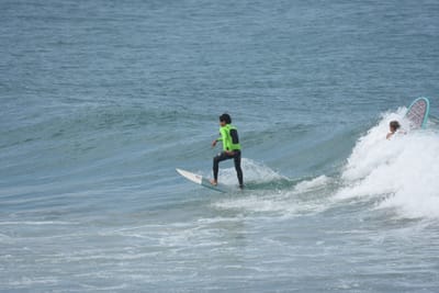 DSC_5626.JPG