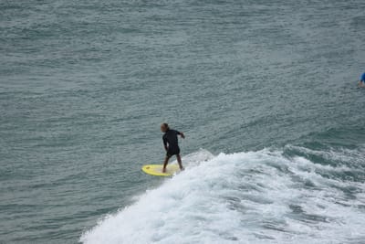 DSC_5629.JPG