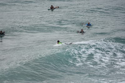 DSC_5636.JPG