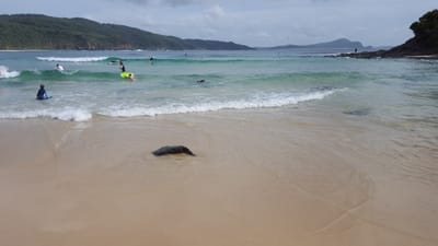 20160109_092938.jpg