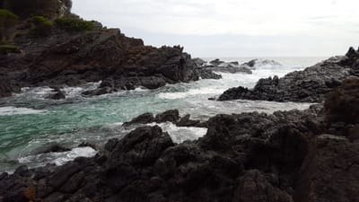 20160109_093356.jpg