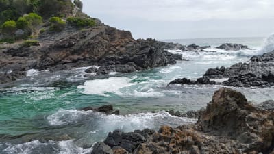 20160109_093459.jpg