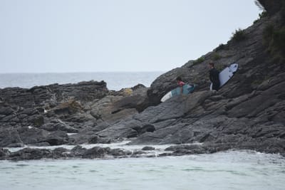 DSC_5246.JPG