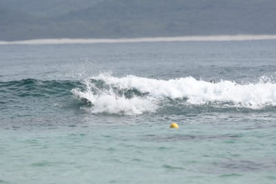 DSC_5278.JPG