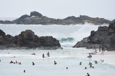 DSC_5317.JPG