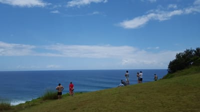 20160110_130716.jpg