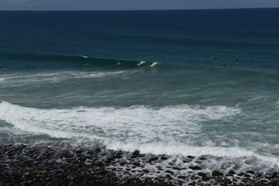 DSC_0828.JPG