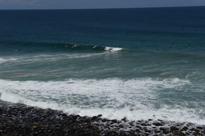 DSC_0829.JPG