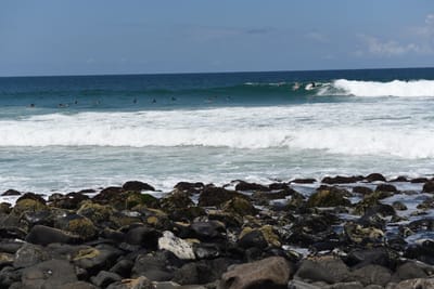 DSC_0830.JPG
