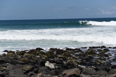 DSC_0831.JPG
