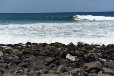 DSC_0832.JPG