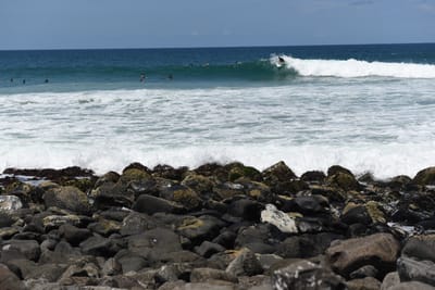 DSC_0833.JPG