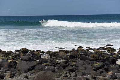 DSC_0834.JPG