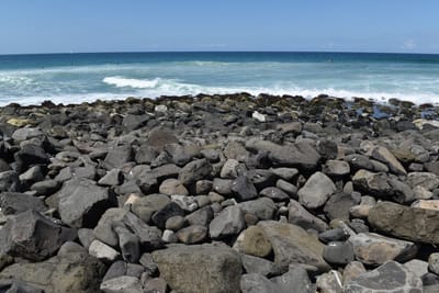DSC_0836.JPG