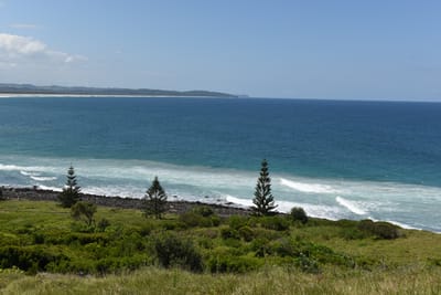 DSC_0845.JPG