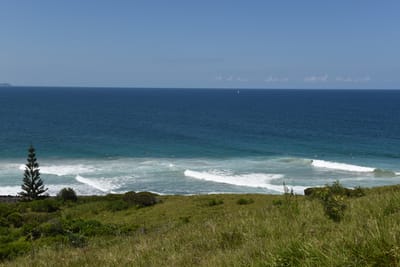 DSC_0847.JPG