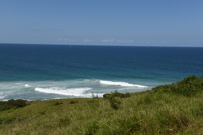 DSC_0848.JPG