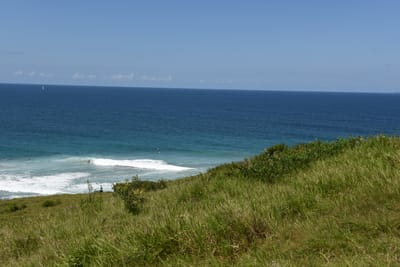DSC_0849.JPG