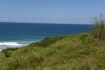 DSC_0850.JPG