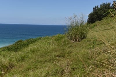 DSC_0851.JPG