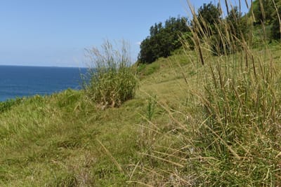 DSC_0852.JPG