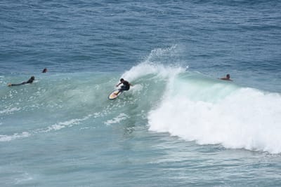 DSC_5644.JPG
