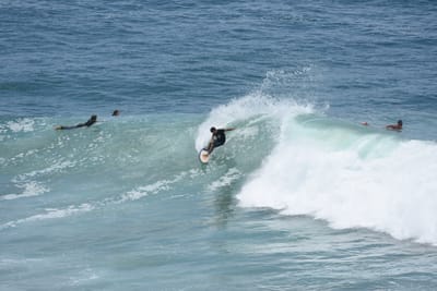 DSC_5645.JPG