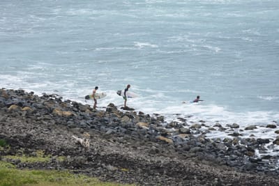 DSC_5646.JPG