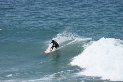 DSC_5652.JPG