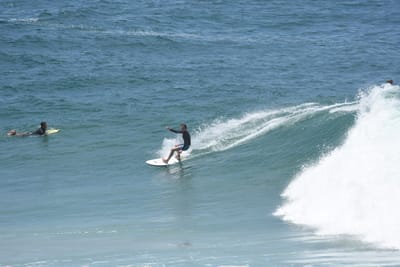 DSC_5655.JPG