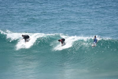 DSC_5661.JPG