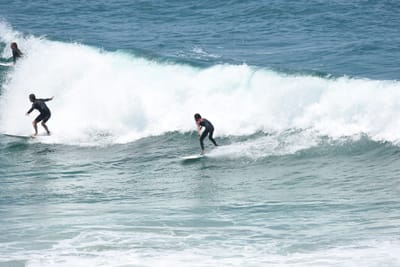 DSC_5667.JPG
