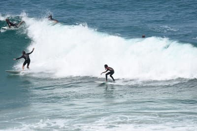 DSC_5669.JPG