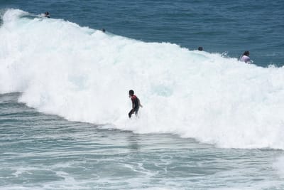 DSC_5676.JPG