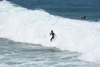 DSC_5677.JPG