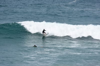 DSC_5693.JPG