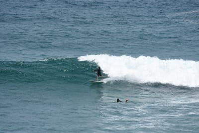 DSC_5694.JPG