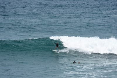 DSC_5695.JPG