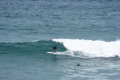DSC_5696.JPG